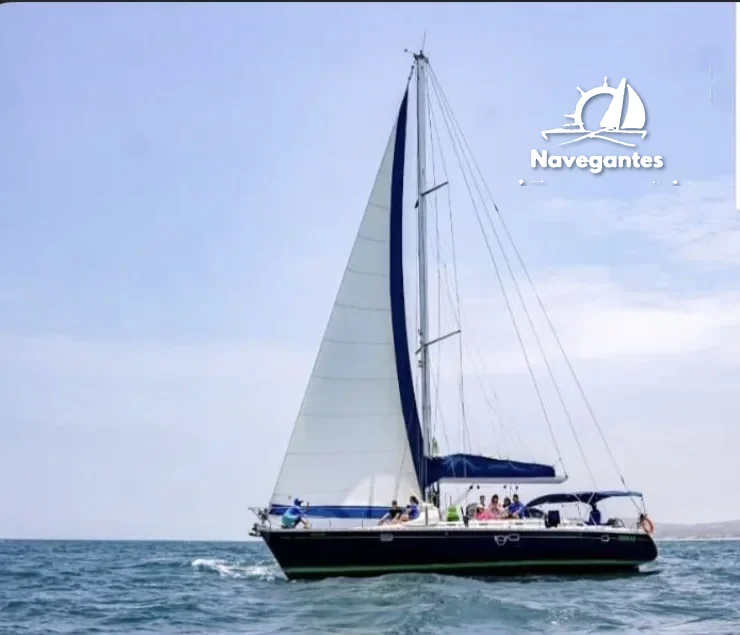 Velero Premium 15 Órganos para 15 pasajeros en Muelle de Órganos